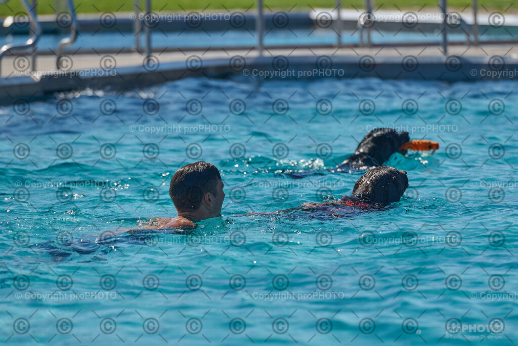 138_202509_4Hundebadetag_NZ9_2557 | proPHOTO - Realisiert mit Pictrs.com