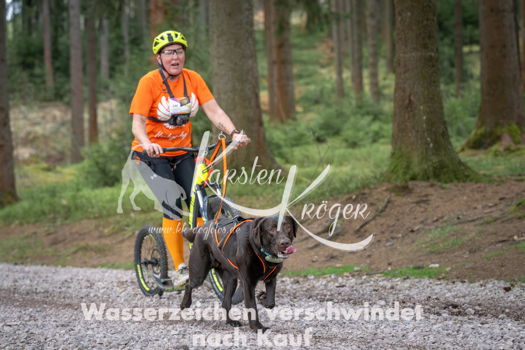 1019_ZZ92274 | kk-dogfotos