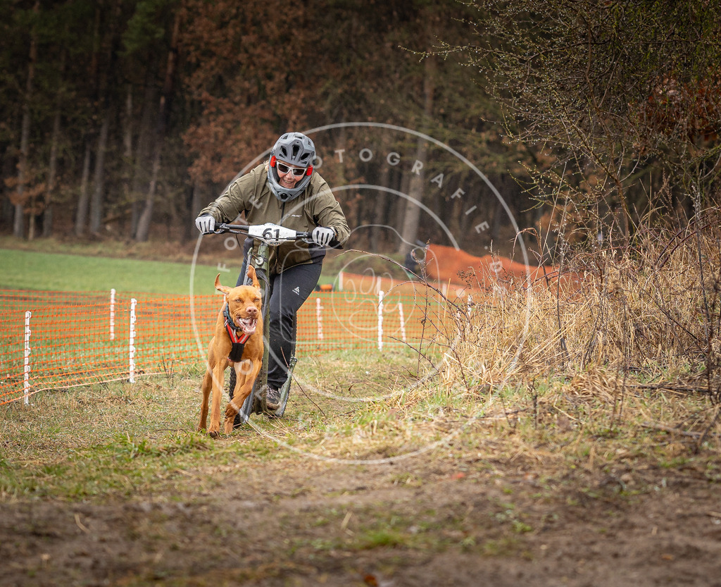 DV3A9510 | Hundefotografie, Tierfotograf, Pfotenfotografie, Fotoshooting Hund, Hunde Portrait, Hundesport, Hundeportraits, Heideshooting, Hunde, Sportfotograf, Hundefotograf, Turnierhundsport, THS,  - Realisiert mit Pictrs.com