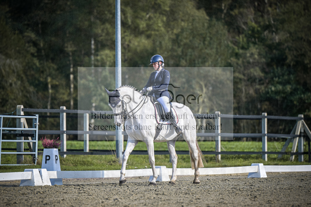 DOS_4530 | Entdecke hochwertige Reitturnierfotos von Foto Oger. Professionell, emotional und authentisch – jetzt Lieblingsmomente im Shop bestellen.Deutschlandweite Turnierfotografie. - Realisiert mit Pictrs.com