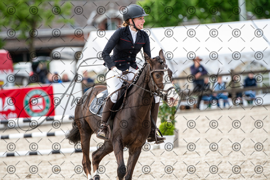 KPT_6989 | andre_photographic