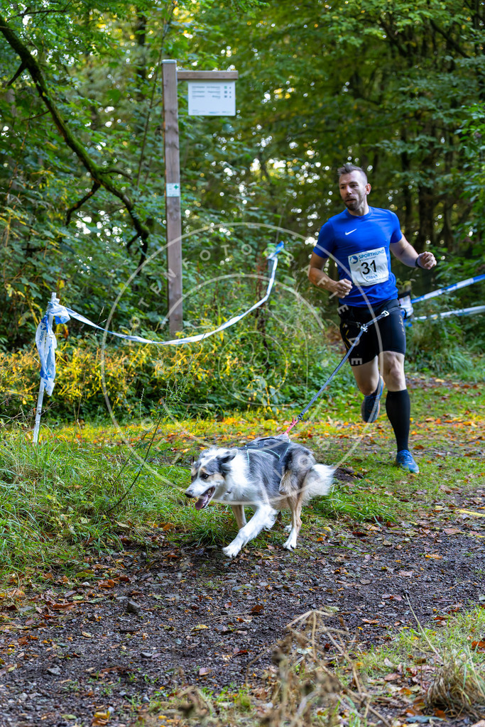 Pfotenfotografie_DV3A6666 | Hundefotografie, Tierfotograf, Pfotenfotografie, Fotoshooting Hund, Hunde Portrait, Hundesport, Hundeportraits, Heideshooting, Hunde, Sportfotograf, Hundefotograf, Turnierhundsport, THS,  - Realisiert mit Pictrs.com