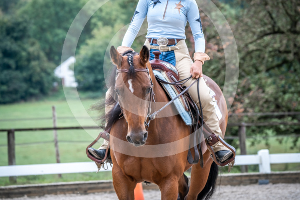HEB08185 | BS-foto
