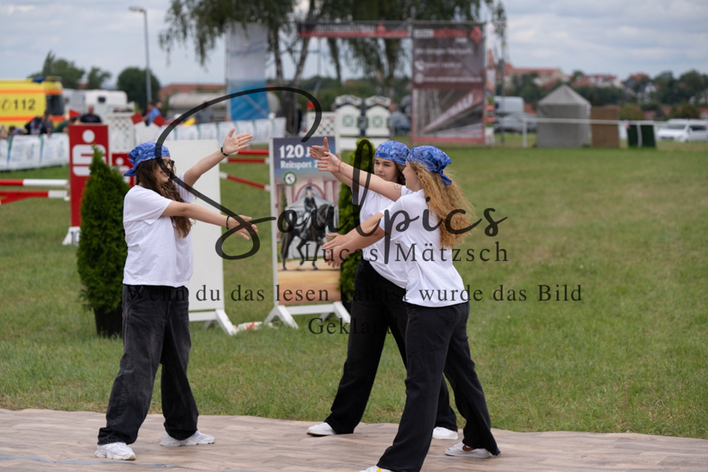 A7V05801 | Pferdefotograf