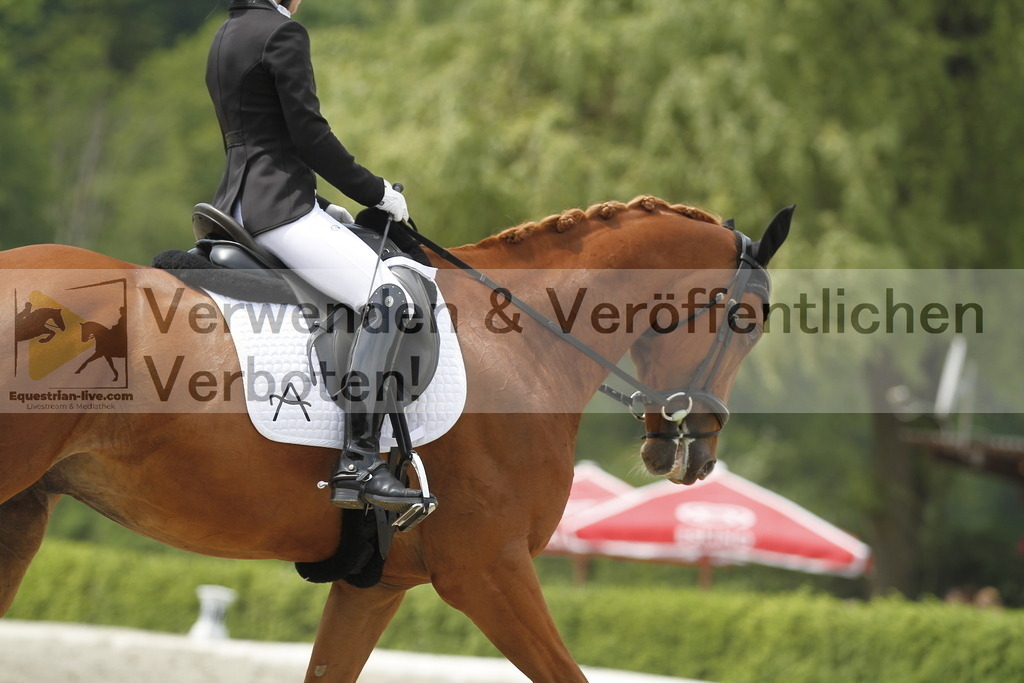 _MG_9414 | equestrian-live-com