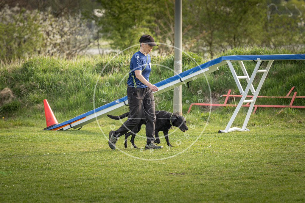 Pfotenfotografie_DV3A4888 | Hundefotografie, Tierfotograf, Pfotenfotografie, Fotoshooting Hund, Hunde Portrait, Hundesport, Hundeportraits, Heideshooting, Hunde, Sportfotograf, Hundefotograf, Turnierhundsport, THS,  - Realisiert mit Pictrs.com
