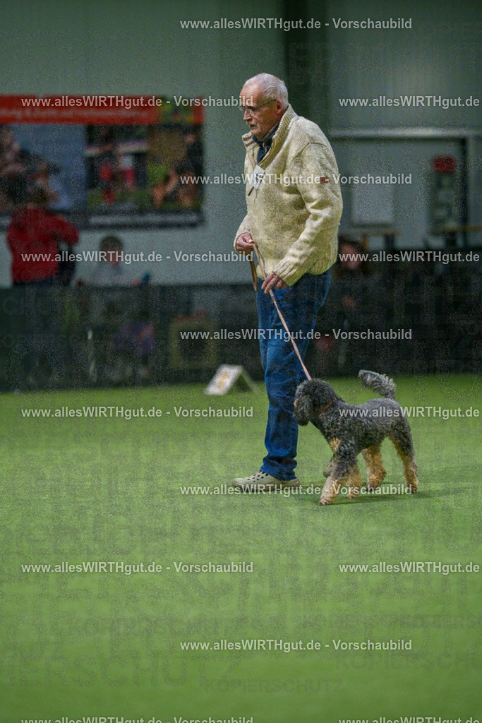 7R505692 | Professionelle Tierfotografie in Mönchengladbach von Daniel Wirth (allesWIRTHgut). Liebevolle & natürliche Bilder von Hunden & Katzen für unvergessliche Erinnerungen.