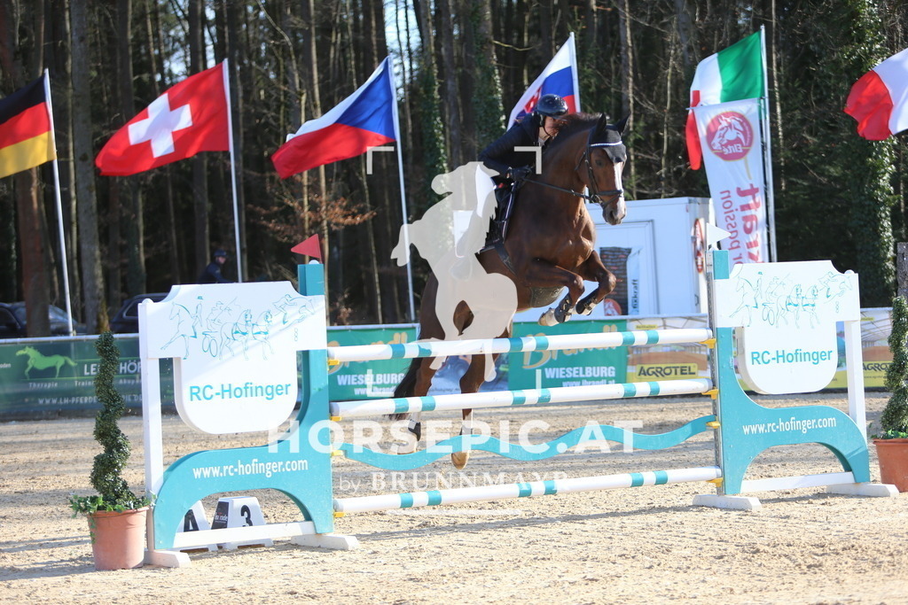 DL2Q1279 | Willkommen bei Brunnmayr - Design & Fotografie – Ihrem Spezialisten für Reitturniere und Pferdeveranstaltungen in Oberösterreich, Salzburg und Bayern! Seit über 17 Jahren sind wir leidenschaftlich dabei.