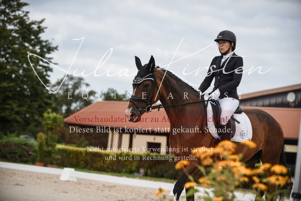 DSC_8550 | Pferde- und Turnierfotografie in Westsachsen. Pferdeportraits, Auftragszeichnungen und intuitive Kunst.