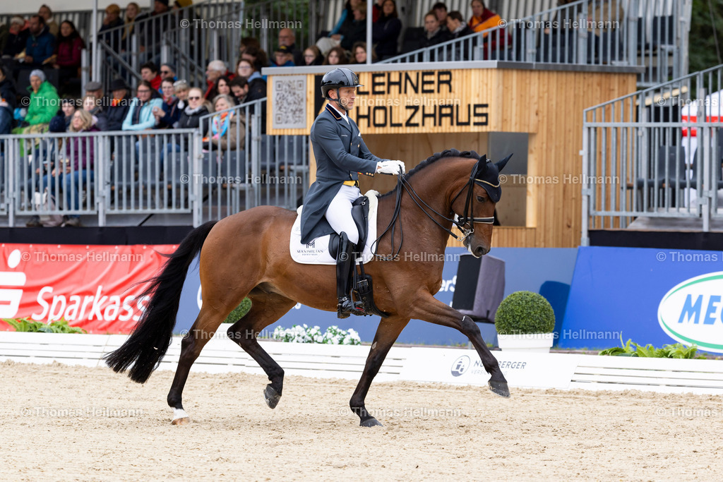 TH_311-CARRASCOSA Borja (GER)_ Franky Di Fonteabeti_21790 | CHI Donaueschingen 2024 am 14.09.24 in Donaueschingen, 311CARRASCOSA Borja (GER), Franky Di Fonteabeti