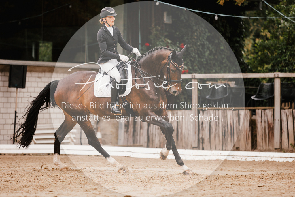 3I6A7829 | Stimmungsvolle Portraits und Reitsportfotografie im Ruhrgebiet und im Münsterland.

Pferdefotografie, Hundefotografie, Tierfotografie, Reportagen, Portraits von Tier und Mensch, Turnierfotografie in Bochum, Recklinghausen, Marl, Haltern am See, Dülmen.. - Realisiert mit Pictrs.com