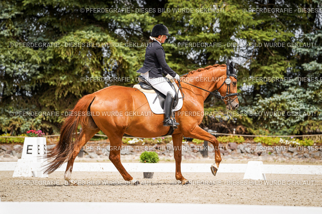 DSC03985 | Pferdegrafie