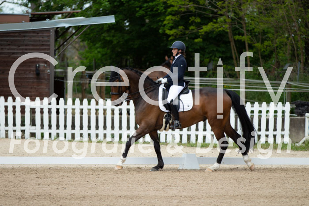 IMG_5975 | Creatify Fotografie