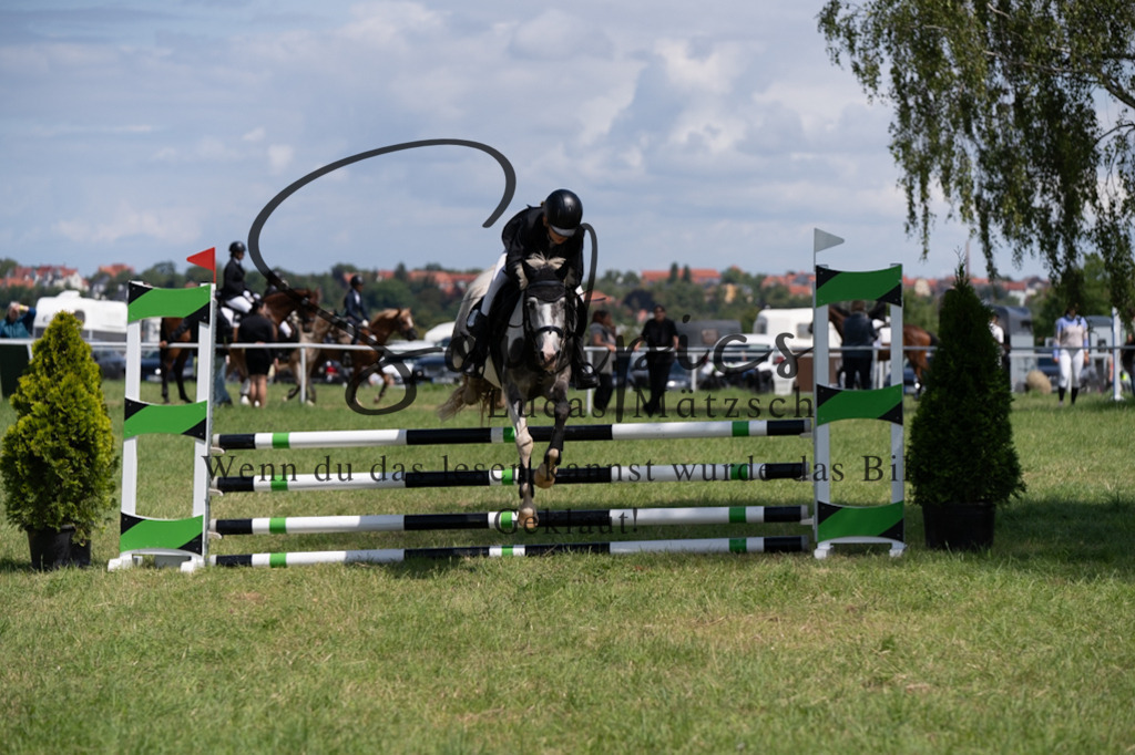 A7V04255 | Turnier/Reitfotograf