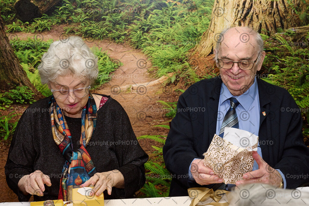 032_2026_60-Hochzeitstag-Wenzel_NZ9_6737 | proPHOTO - Realisiert mit Pictrs.com