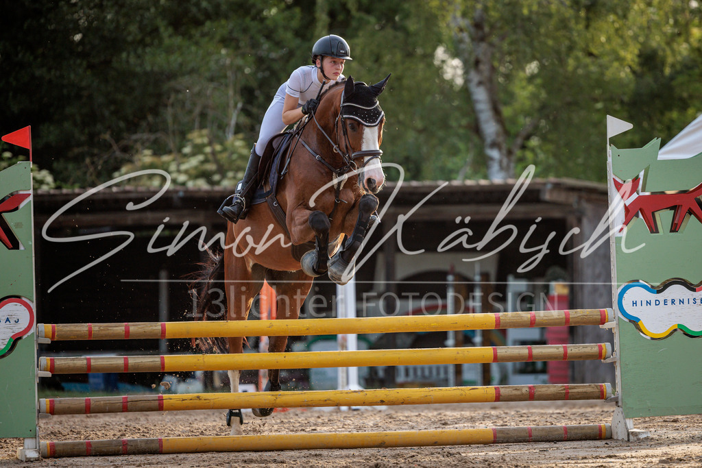 20260529-_3LI1813 | Tierfotografie Pferde, Hunde, Katzen, Haustiere.
Turnierfotografie Reitturniere, Reiten, Springreiten, Dressur in Hanau, dem Main-Kinzig-Kreis und dem Rhein-Main- Gebiet um Frankfurt