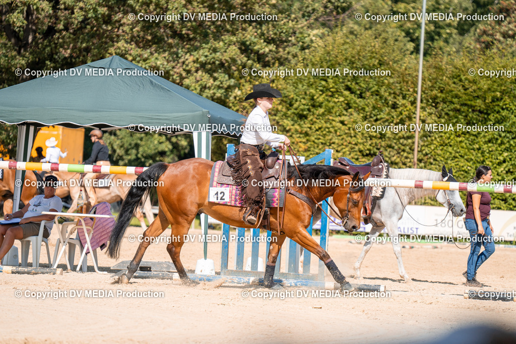 ZH100249 | dv-media-shop - Realisiert mit Pictrs.com