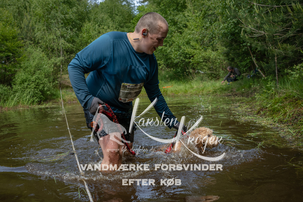 1254DKK993628 | kk-dogfotos