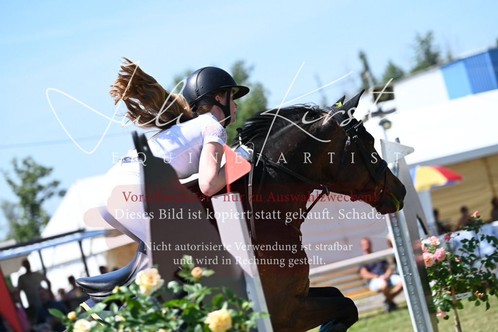 DSC_0802 | Pferde- und Turnierfotografie in Westsachsen. Pferdeportraits, Auftragszeichnungen und intuitive Kunst.