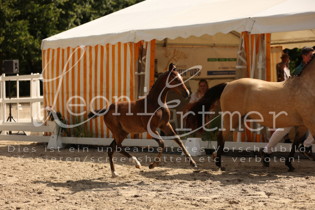08.DoRPS00015 | Leoni Ertmer Photography - Realisiert mit Pictrs.com