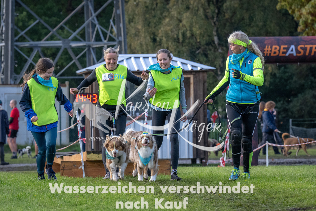 1445-94842 | kk-dogfotos