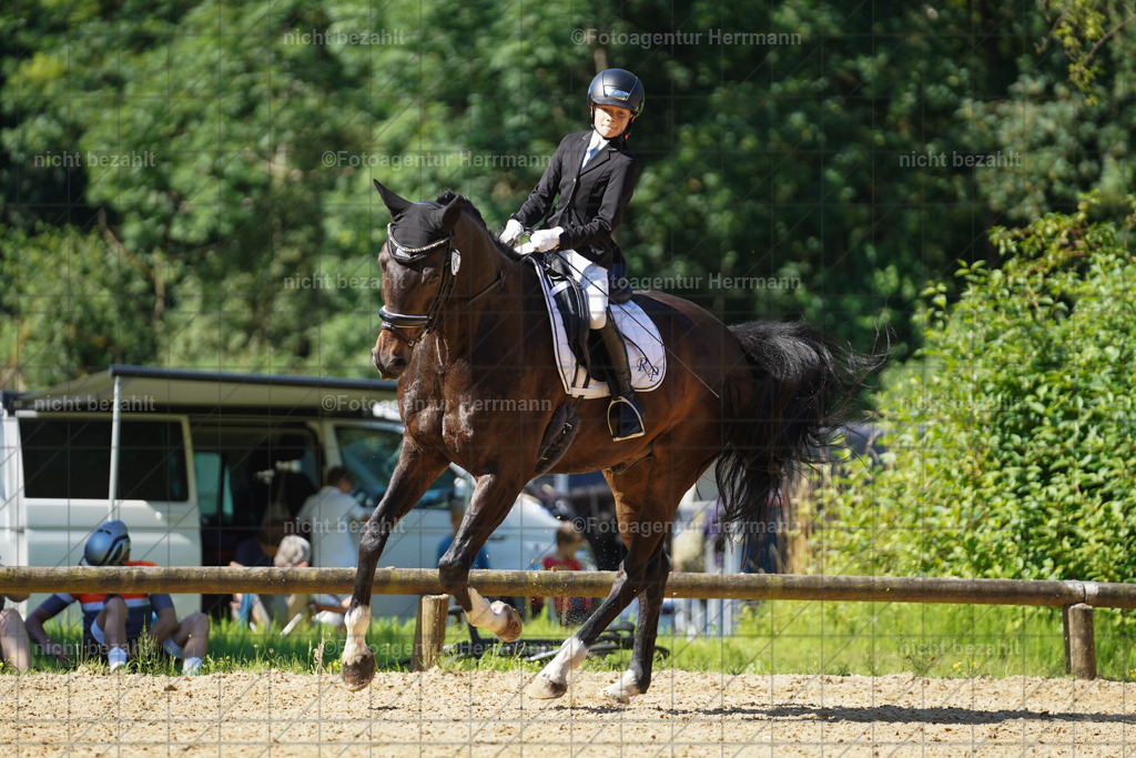 20240706-FAH04809 | Grafing Turnierfotos, Reitverein Ebersberg, Turnierfotografen Bayern, reitsportbilder, Pferdefotograf, reitsportfotograf, Sportbilder, Reitsportfotografie, Fotoagentur Herrmann, Turnierfotograf