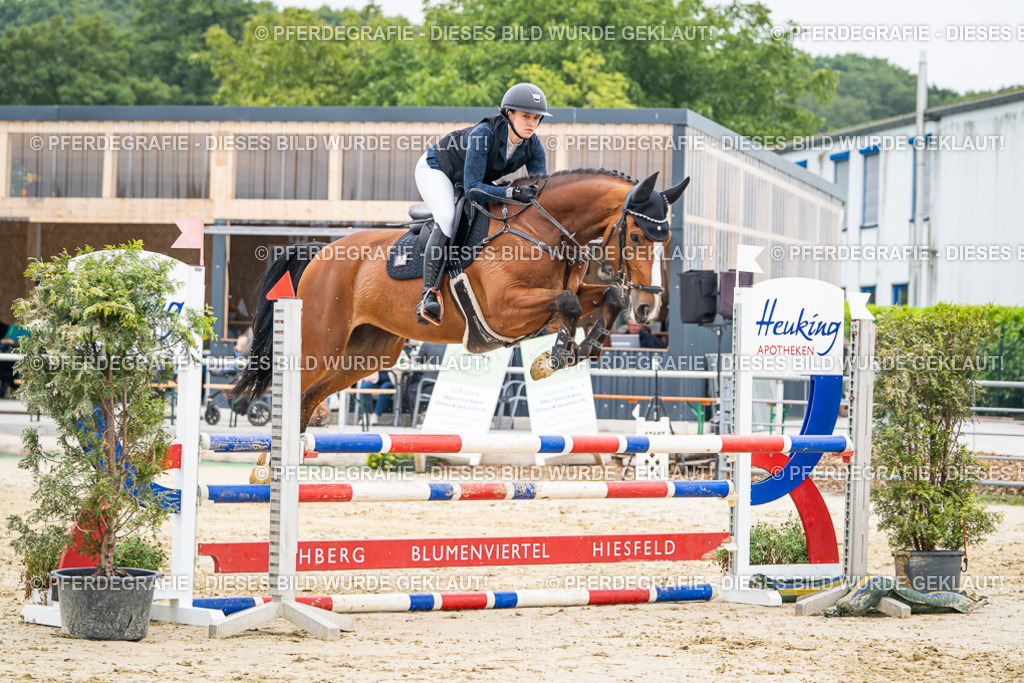 DSC00052 | Pferdegrafie