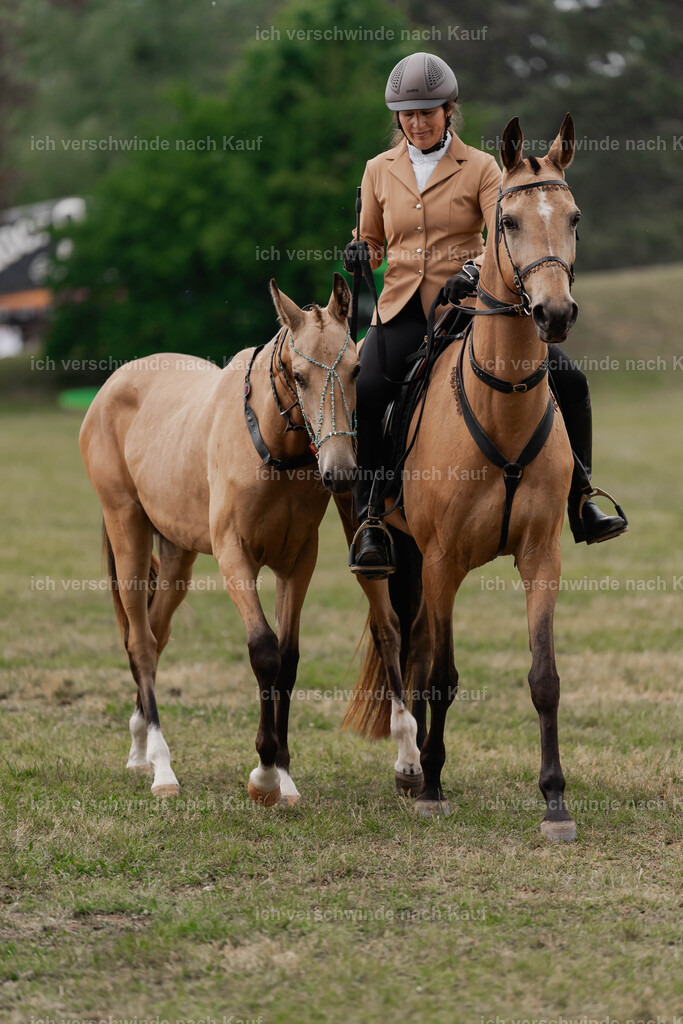 Showprogramm-314 | working equitationturnier fotograf videograf stoibphotography marixx film working equitation deutschland reitsport turnierfotografie eventfotografie equestrian events