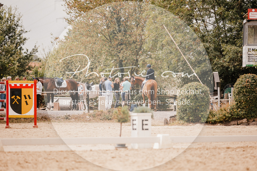 3I6A6303 | Stimmungsvolle Portraits und Reitsportfotografie im Ruhrgebiet und im Münsterland.

Pferdefotografie, Hundefotografie, Tierfotografie, Reportagen, Portraits von Tier und Mensch, Turnierfotografie in Bochum, Recklinghausen, Marl, Haltern am See, Dülmen.. - Realisiert mit Pictrs.com