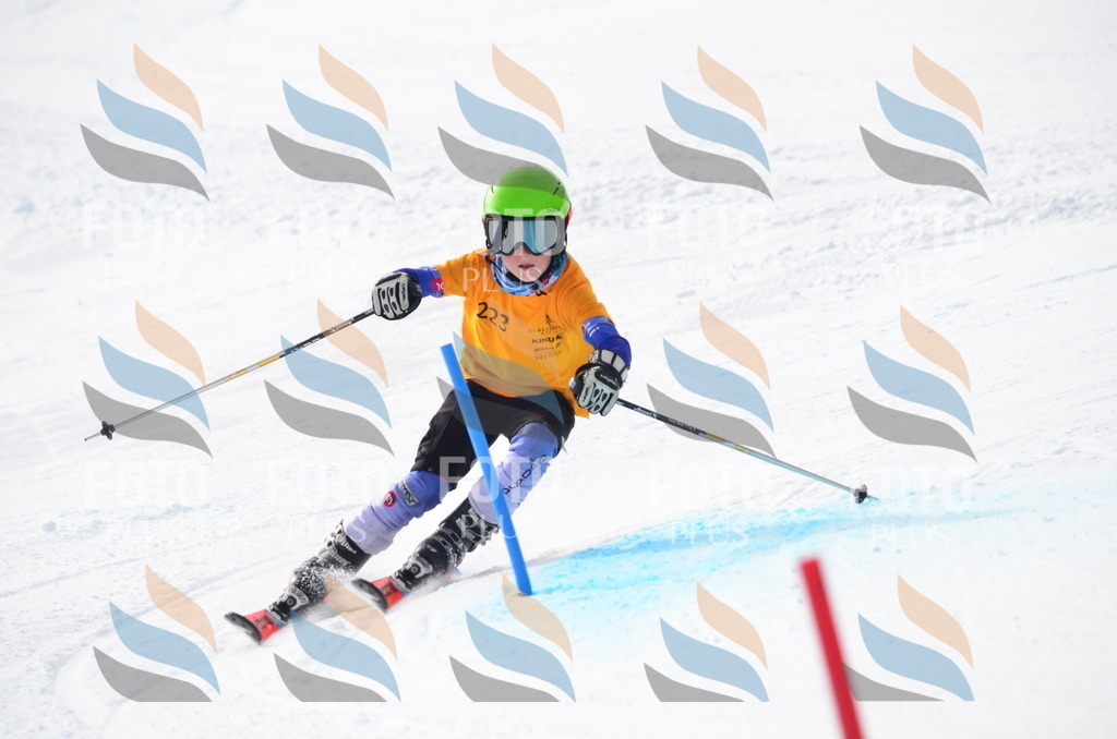 C8257 | holidayphoto