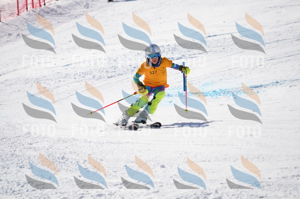 C9646 | holidayphoto