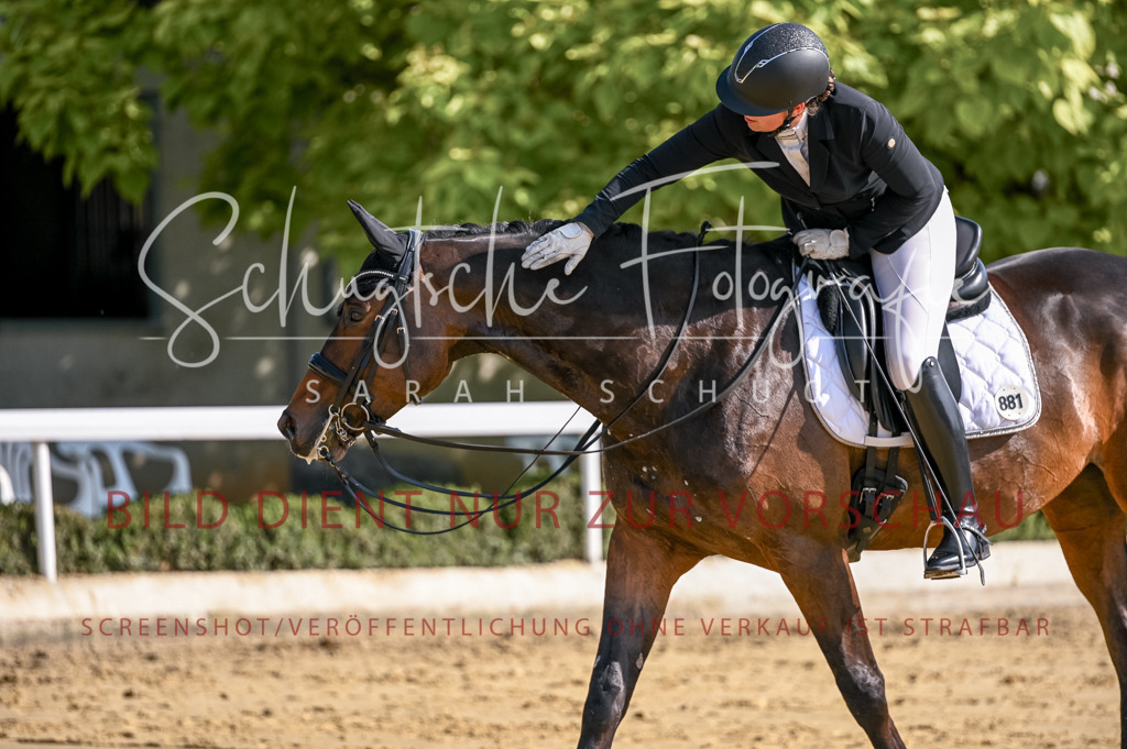 Schugtsche-Aluta25-52.Dressurprf.M2Kand-275 | Schugtsche Fotografie - Realisiert mit Pictrs.com