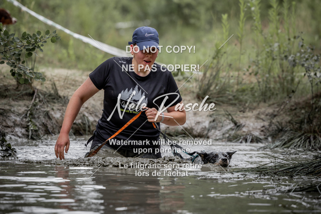 nelerasche_so0800-0930_533 | nelerasche