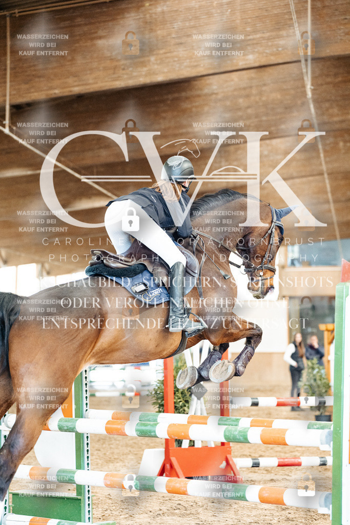 CK905199 | Turnierfotografie Pferdefotografie Trier Rheinland-Pfalz Pferdesport Reitsport Tierfotografie Sportfotografie Pferdevideo Pferdevideografie Equestrianvideography equestrianphotography  - Realisiert mit Pictrs.com