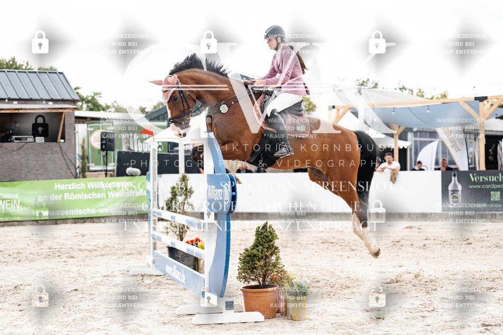 CK902880 | Turnierfotografie Pferdefotografie Trier Rheinland-Pfalz Pferdesport Reitsport Tierfotografie Sportfotografie Pferdevideo Pferdevideografie Equestrianvideography equestrianphotography  - Realisiert mit Pictrs.com