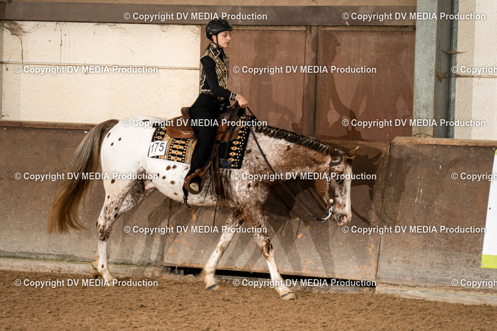 Heiligenwald Tag 2-120 | dv-media-shop - Realisiert mit Pictrs.com