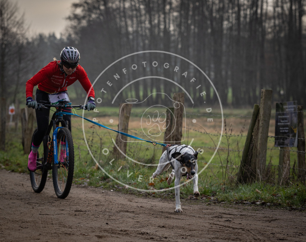 Pfotenfotografie_DV3A1475 | Hundefotografie, Tierfotograf, Pfotenfotografie, Fotoshooting Hund, Hunde Portrait, Hundesport, Hundeportraits, Heideshooting, Hunde, Sportfotograf, Hundefotograf, Turnierhundsport, THS,  - Realisiert mit Pictrs.com