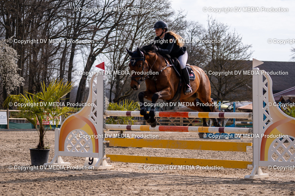 Kranichstein Tag 2-1532 | dv-media-shop - Realisiert mit Pictrs.com