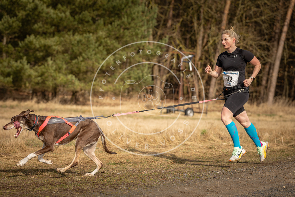 DV3A3751 | Hundefotografie, Tierfotograf, Pfotenfotografie, Fotoshooting Hund, Hunde Portrait, Hundesport, Hundeportraits, Heideshooting, Hunde, Sportfotograf, Hundefotograf, Turnierhundsport, THS,  - Realisiert mit Pictrs.com