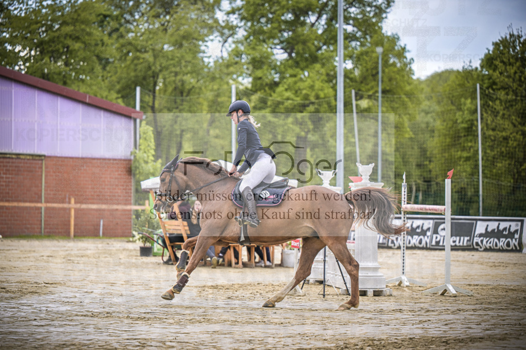DOS_2176 | Entdecke hochwertige Reitturnierfotos von Foto Oger. Professionell, emotional und authentisch – jetzt Lieblingsmomente im Shop bestellen.Deutschlandweite Turnierfotografie. - Realisiert mit Pictrs.com