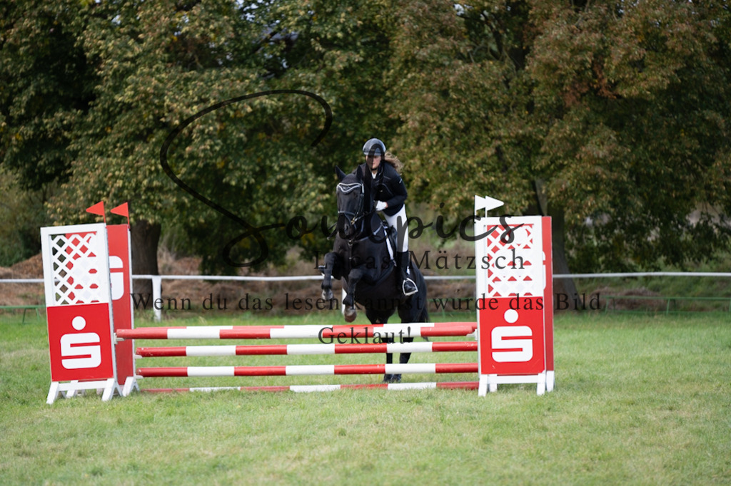 A7V06472 | Pferdefotograf