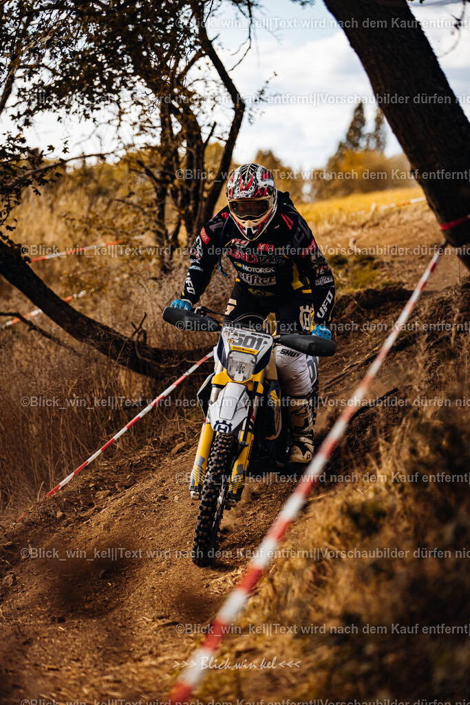 E68A3009 | blick_win_kel