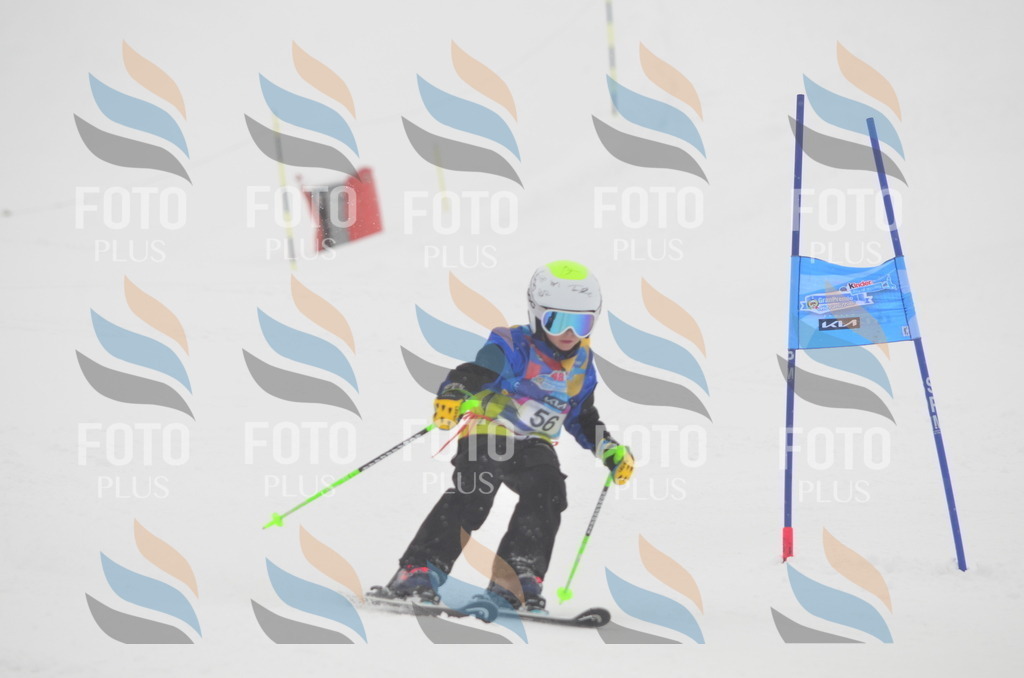 C1001 | holidayphoto