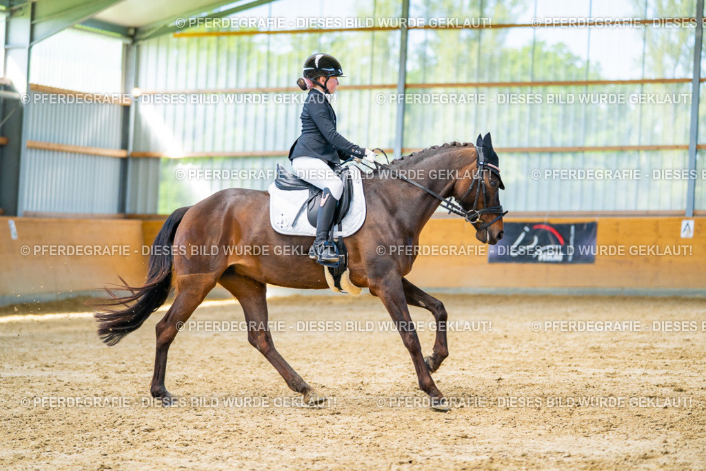 DSC07326 | Pferdegrafie