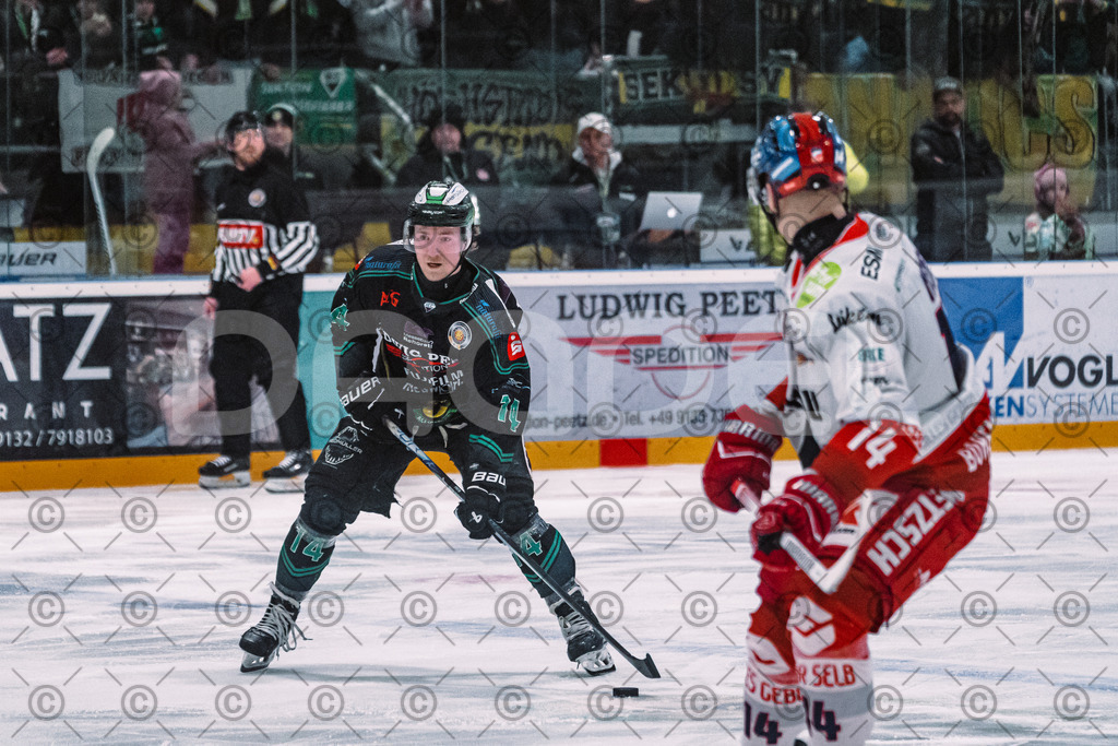 Alligators_vs_Selb_27_02_2026-34 | Höchstadt Alligators Fotogalerie: Eishockey-Action aus Franken. Professionelle Spielfotos, Portraits & Stadionbilder zum Download. Jetzt entdecken! - Realisiert mit Pictrs.com