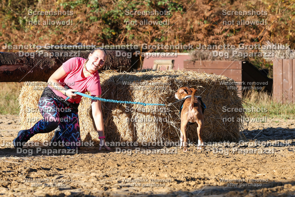 Dog Paparazzi - Strongdog 10-25-1228 | Dog Paparazzi Jeanette Grottendiek Fotografie & Videografie - Realisiert mit Pictrs.com