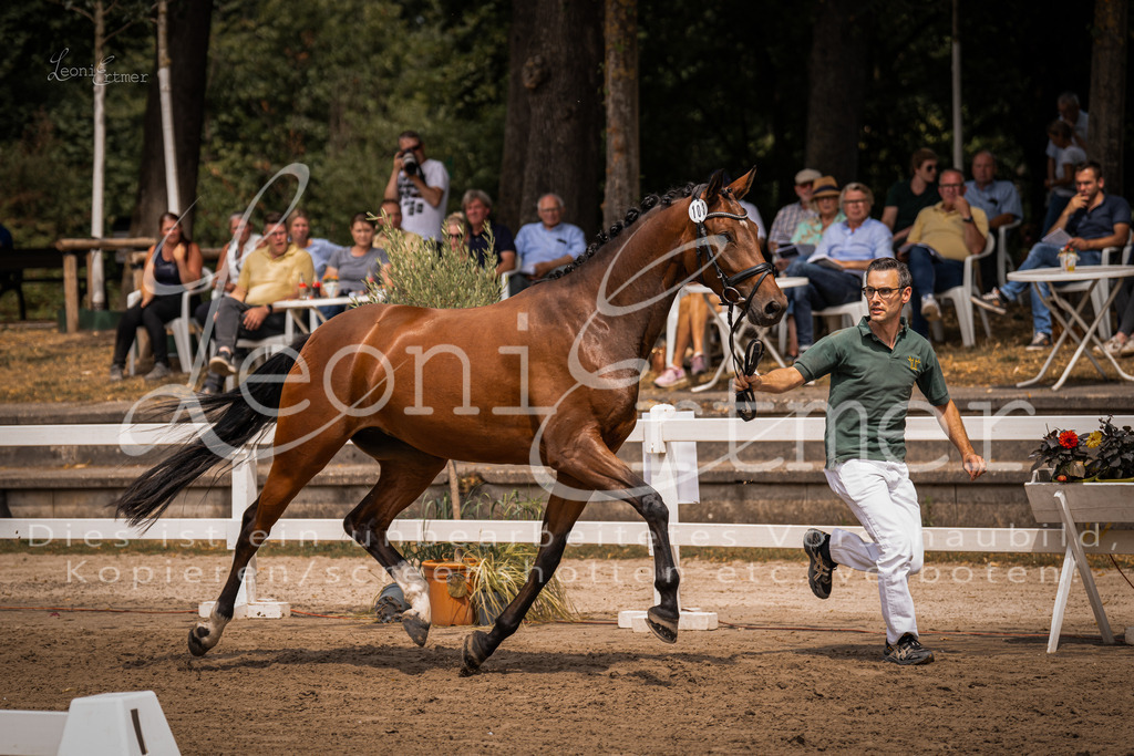 2. Fr00072 | Leoni Ertmer Photography - Realisiert mit Pictrs.com