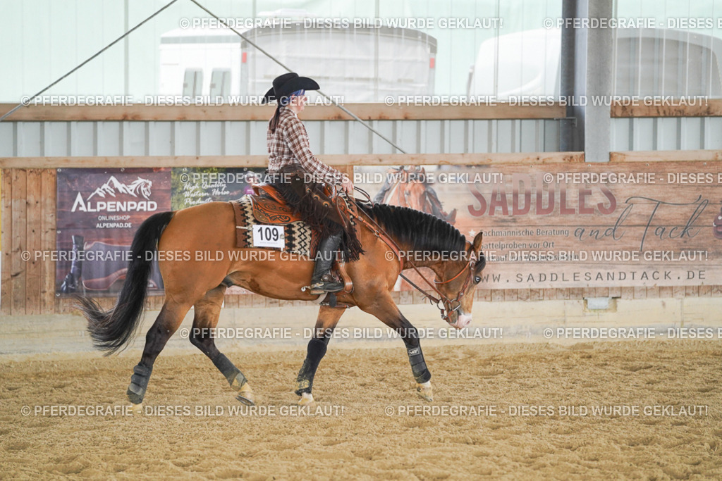 DSC05659 | Pferdegrafie