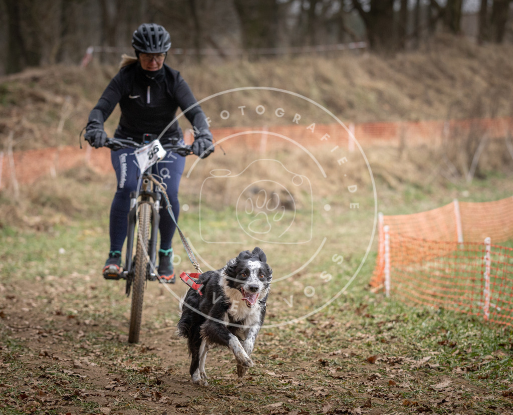Pfotenfotografie_DV3A5837 | Hundefotografie, Tierfotograf, Pfotenfotografie, Fotoshooting Hund, Hunde Portrait, Hundesport, Hundeportraits, Heideshooting, Hunde, Sportfotograf, Hundefotograf, Turnierhundsport, THS,  - Realisiert mit Pictrs.com