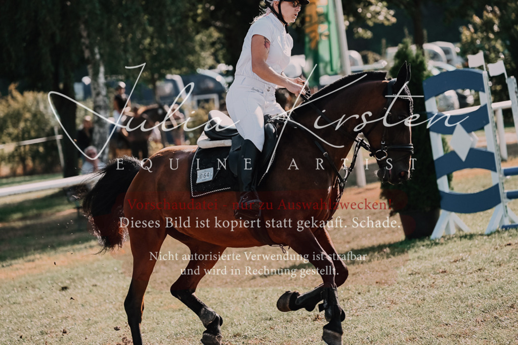 DSC_4617 | Pferde- und Turnierfotografie in Westsachsen. Pferdeportraits, Auftragszeichnungen und intuitive Kunst.